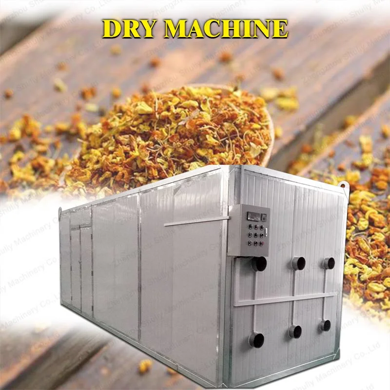 Box Dry Machine Can Be Customized Chamber Size for Drying Beef and Lungs Drying Machine